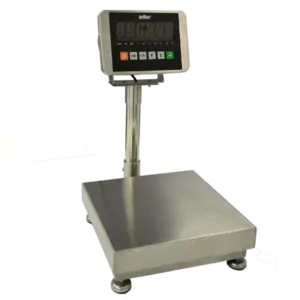 Platform Weighing Scale with SS Indicator